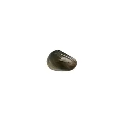 010060501 Pierres roulées Actinolite avec chlorite, 1,5 - 2,0cm (S) | Marco Schreier