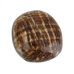 010230201 Trommelsteine Aragonit (braun), 2,7 - 3,2cm (XL) | Marco Schreier