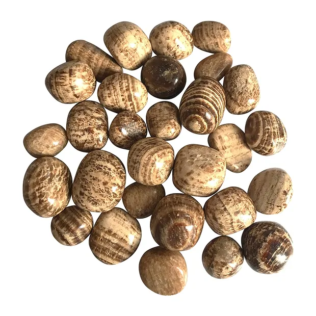 Trommelsteine Aragonit (braun), 2,0 - 3,0cm (L) | Marco Schreier