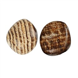 010230301 Pietra burattata aragonite (marrone), 2,0 - 3,0 cm (L) | Marco Schreier