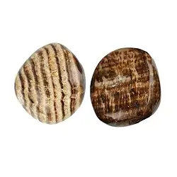 010230301 Trommelsteine Aragonit (braun), 2,0 - 3,0cm (L) | Marco Schreier