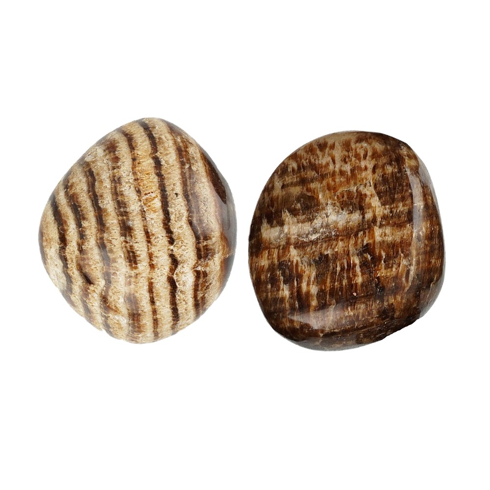 Tumbled Stones Aragonite (brown), 2.0 - 3.0cm (L) | Marco Schreier