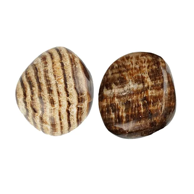 Trommelsteine Aragonit (braun), 2,0 - 3,0cm (L) | Marco Schreier