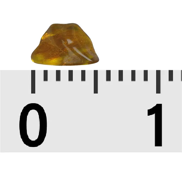 Trommelsteine Bernstein (gelb), 0,3 - 0,5cm (B3) | Marco Schreier