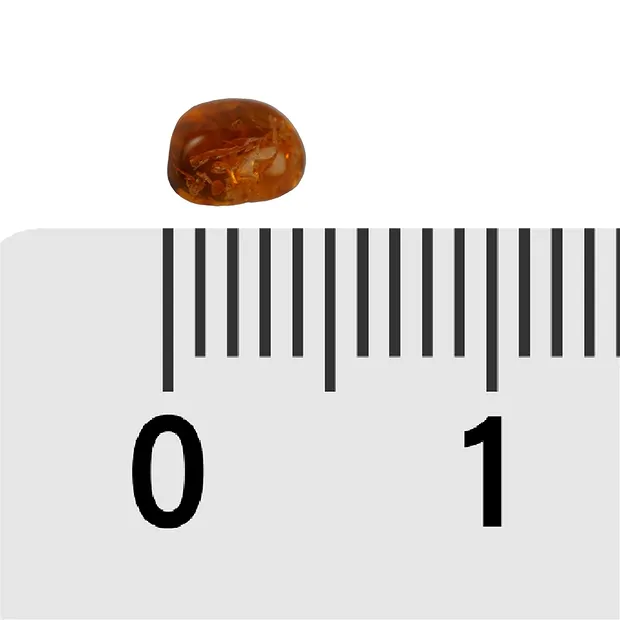Trommelsteine Bernstein (cognac), 0,2 - 0,4cm (C1) | Marco Schreier