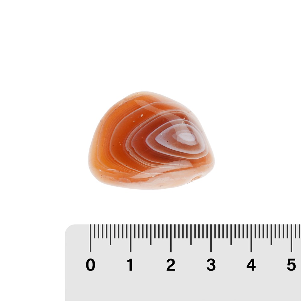 Trommelsteine Carneol (gebändert), 2,5 - 3,3cm (L) | Marco Schreier