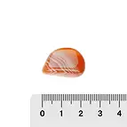 https://cdn.marcoschreier.com/content/productimages/010430402_d1.jpg