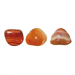 010430402 Tumbled Stones Carnelian (banded), 1.8 - 2.8cm (M) | Marco Schreier
