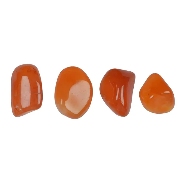 Pierres roulées Cornaline, 1,3 - 2,0cm (S) | Marco Schreier