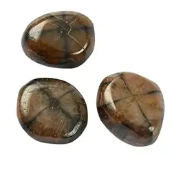010490201 Pierres roulées Chiastolite (Andalousite), 3,0 - 4,0cm (XL) | Marco Schreier