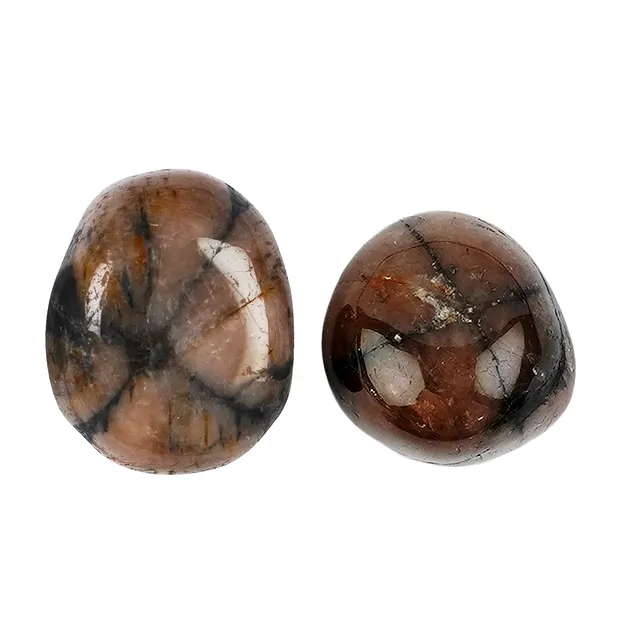 Tumbled Stones Chiastolite (Andalusite), 2,0 - 2,5cm (L) | Marco Schreier