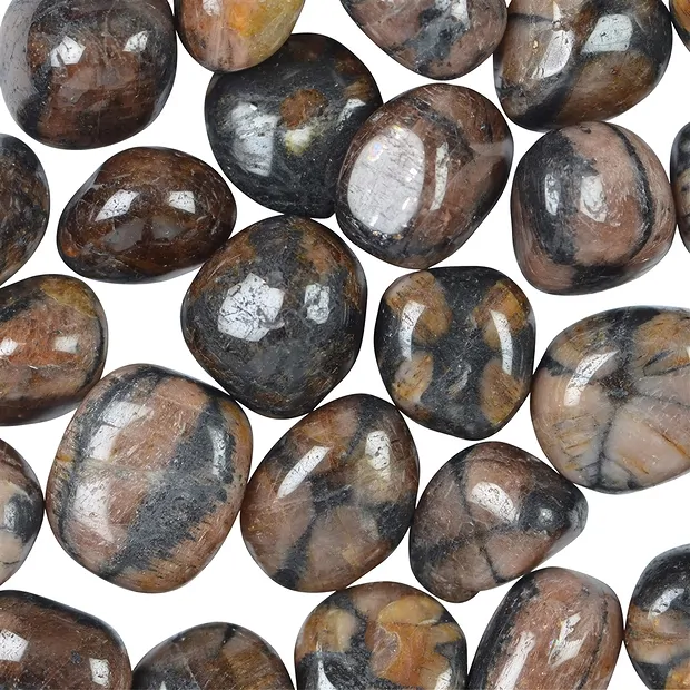 Pierres roulées Chiastolite (Andalousite), 1,8 - 2,5cm (M) | Marco Schreier