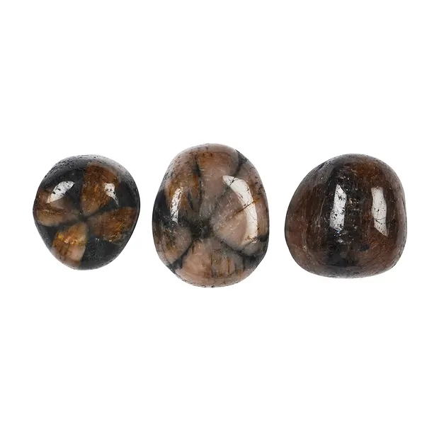 Tumbled Stones Chiastolite (Andalusite), 1,8 - 2,5cm (M) | Marco Schreier