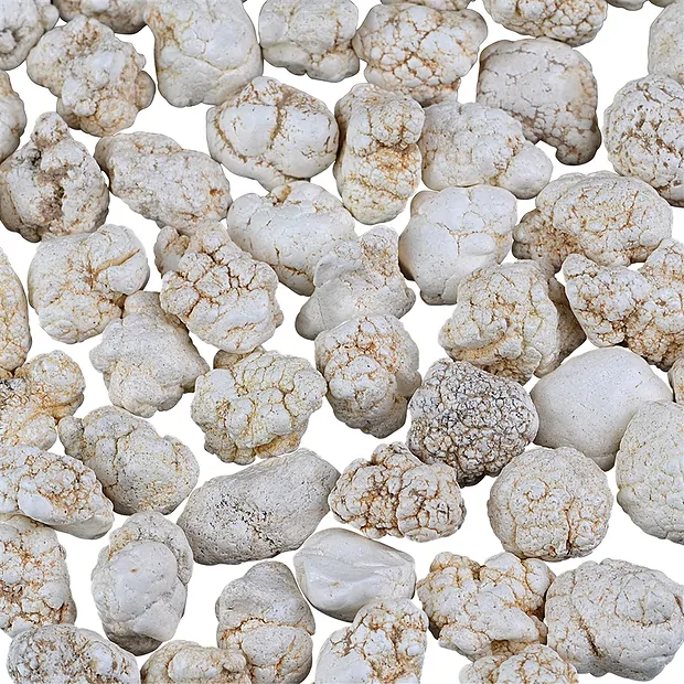 Trommelsteine Magnesit-Nuggets, 1,0 - 1,5cm (B1) | Marco Schreier