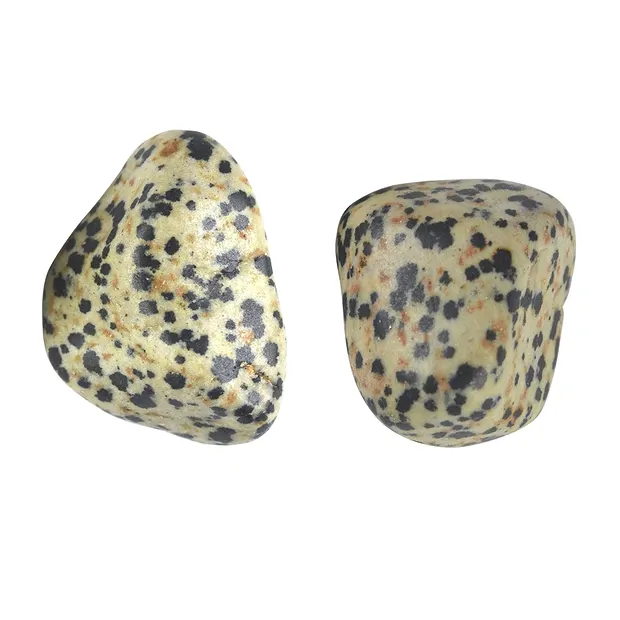 Pierres roulées Jaspe dalmatien, 2,5 - 3,0cm (L) | Marco Schreier