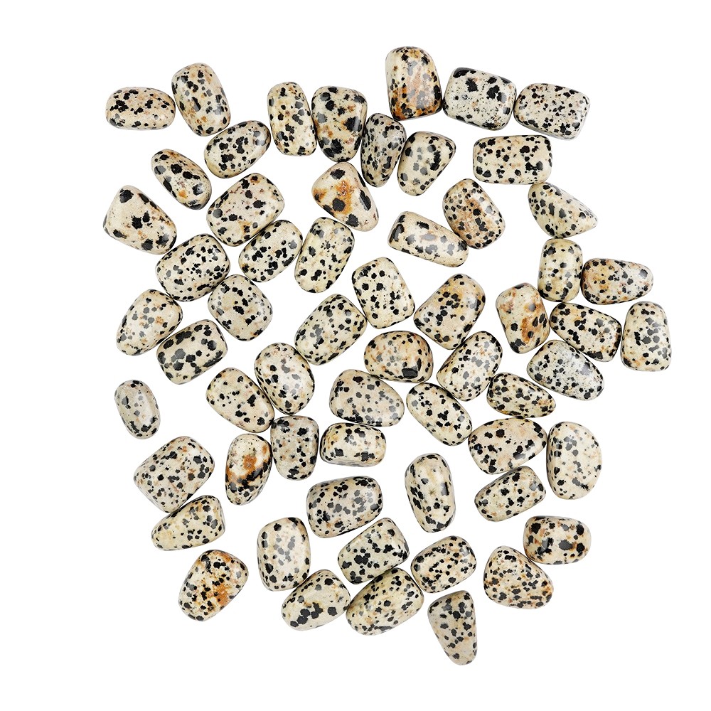 Trommelsteine Dalmatinerstein, 2,0 - 2,5cm (S) | Marco Schreier