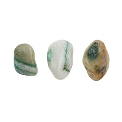 010940401 Piedras rodadas Jadeíta (Birmania), 2,0 - 3,0cm (M) | Marco Schreier