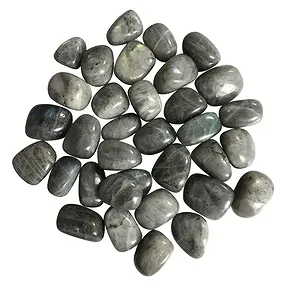 Tumbled Stones Labradorite, 2,2 - 2,7cm (L) | wholesaler gems & healing stones