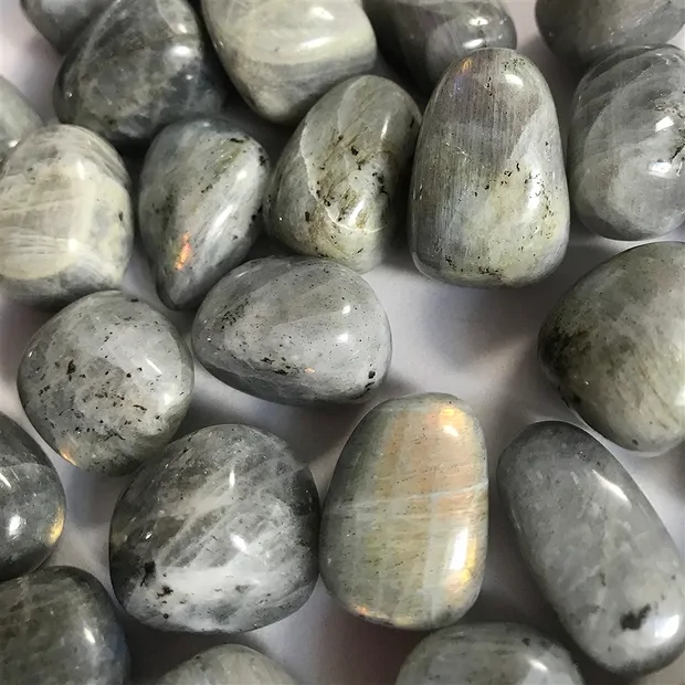 Piedras rodadas labradorita, 2.2 - 2.7cm (L) | Marco Schreier