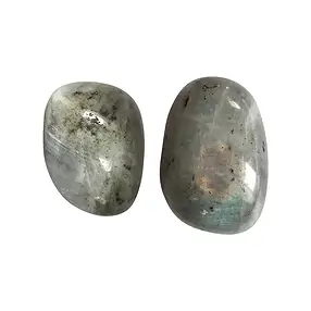 Tumbled Stones Labradorite, 2,2 - 2,7cm (L) | wholesaler gems & healing stones