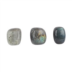 011030404 Tumbled Stones Labradorite B, 2,0 - 2,5cm (M) | wholesaler gems & healing stones
