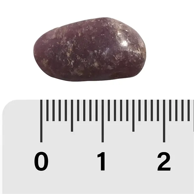 Pierres roulées Lépidolite, 1,5 - 2,0cm (S) | Marco Schreier