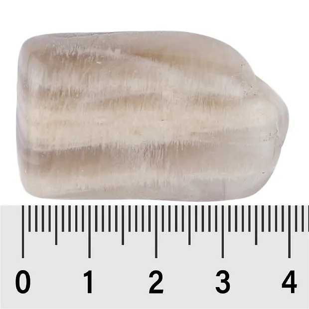 Tumbled Stone Moonstone, 2,5 - 3,0cm (XL) | wholesaler gems & healing stones