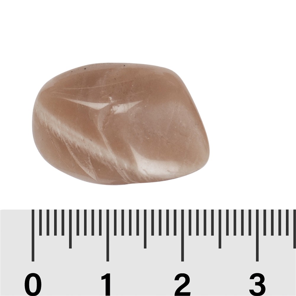 Pierres roulées Pierre de lune, 2,0 - 3,5cm (L) | Marco Schreier