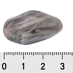 https://cdn.marcoschreier.com/content/productimages/011130401_d1.jpg