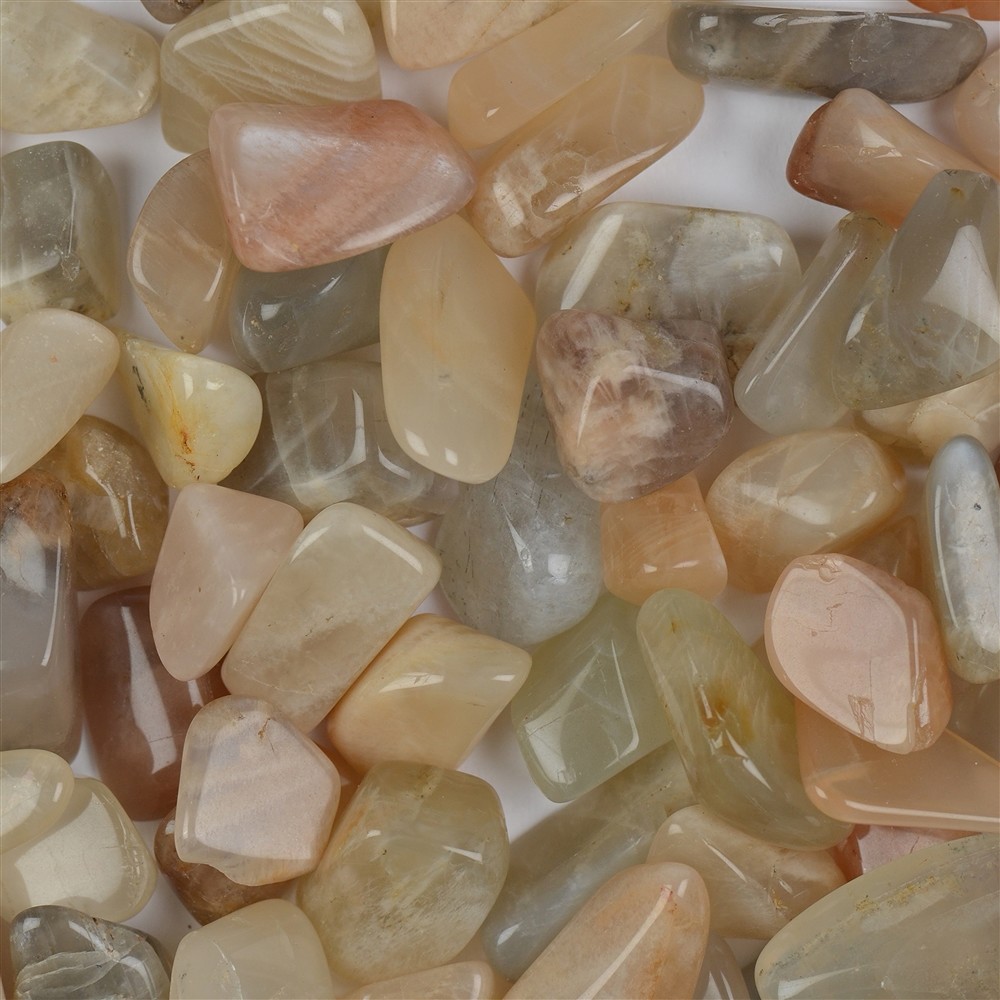 Tumbled Stone Moonstone, 1,5 - 2,2cm (S) | wholesaler gems & healing stones