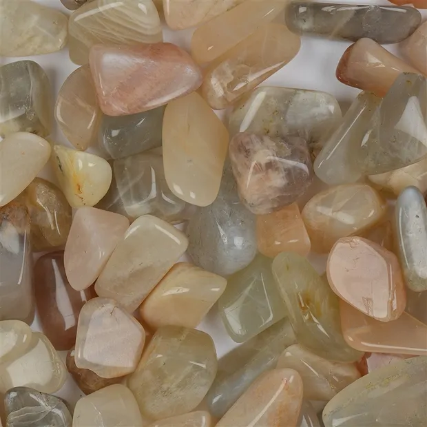 Tumbled Stone Moonstone, 1,5 - 2,2cm (S) | wholesaler gems & healing stones