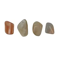 011130501 Tumbled Stone Moonstone, 1,5 - 2,2cm (S) | wholesaler gems & healing stones