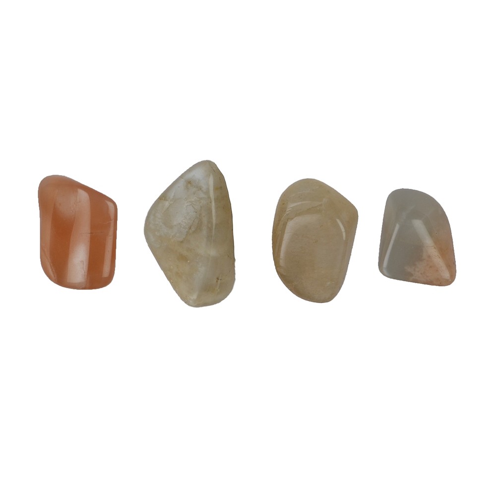 Tumbled Stone Moonstone, 1,5 - 2,2cm (S) | wholesaler gems & healing stones