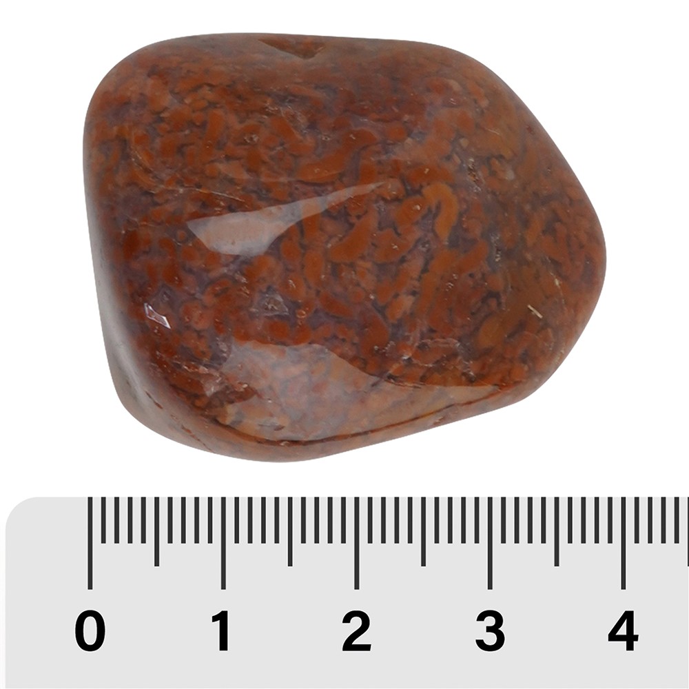 Trommelsteine Moosachat (rosa), 3,0 - 4,0cm (XL) | Marco Schreier