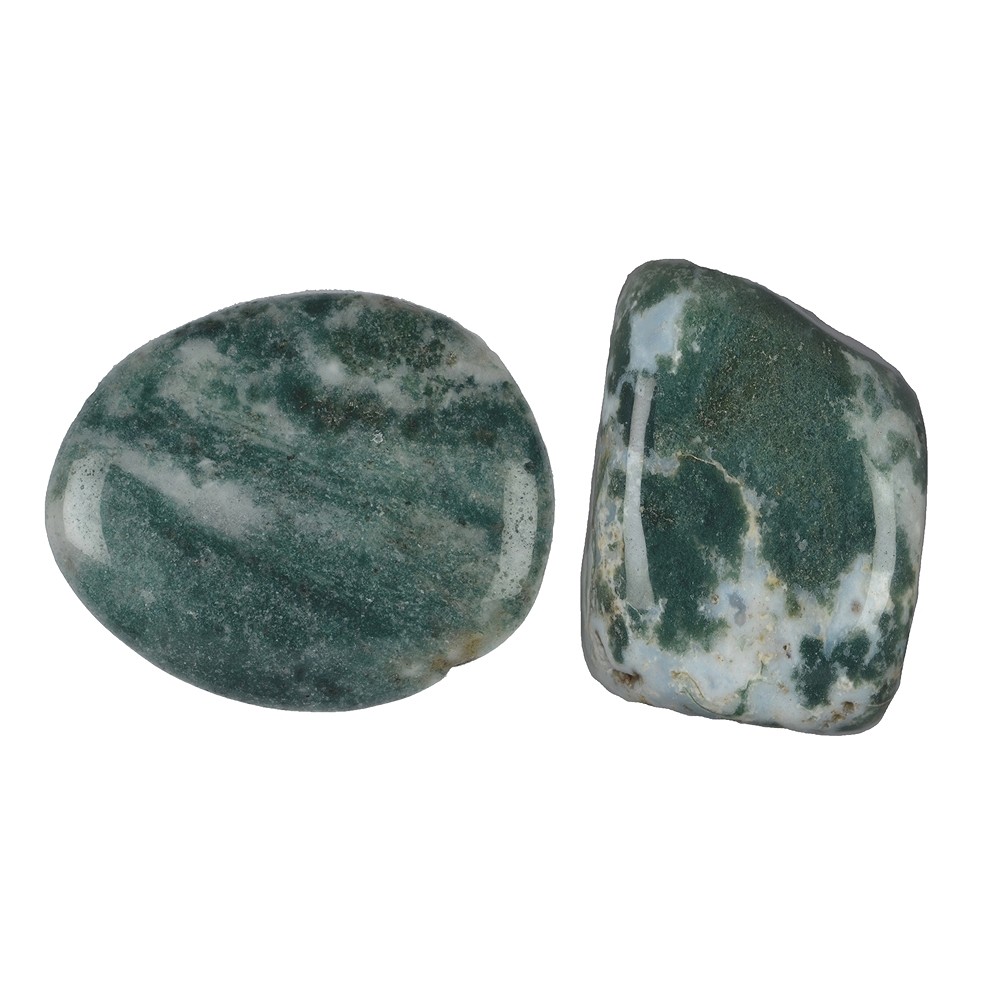 Pierres roulées Agate mousse, 2,5 - 3,0cm (L) | Marco Schreier