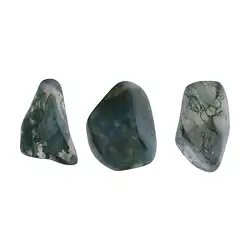 011140401 Tumbled Stones Moss Agate, 2,0 - 2,5cm (M) | wholesaler gems & healing stones