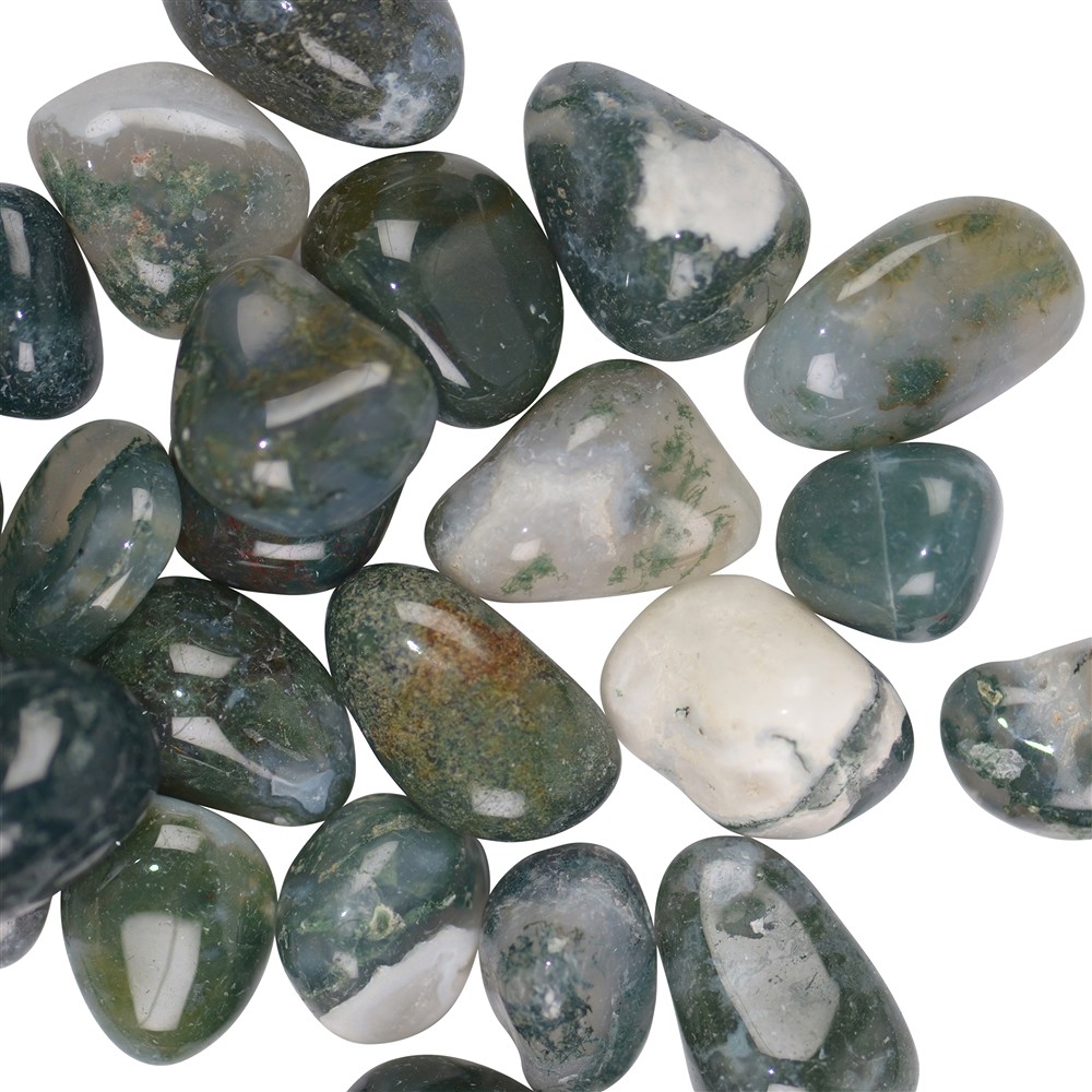 Trommelsteine Moosachat, 1,5 - 2,2cm (S) | GH Edelsteine, Heilsteine & Schmuck
