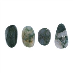 011140501 Pierres roulées Agate mousse, 1,5 - 2,2cm (S) | Marco Schreier