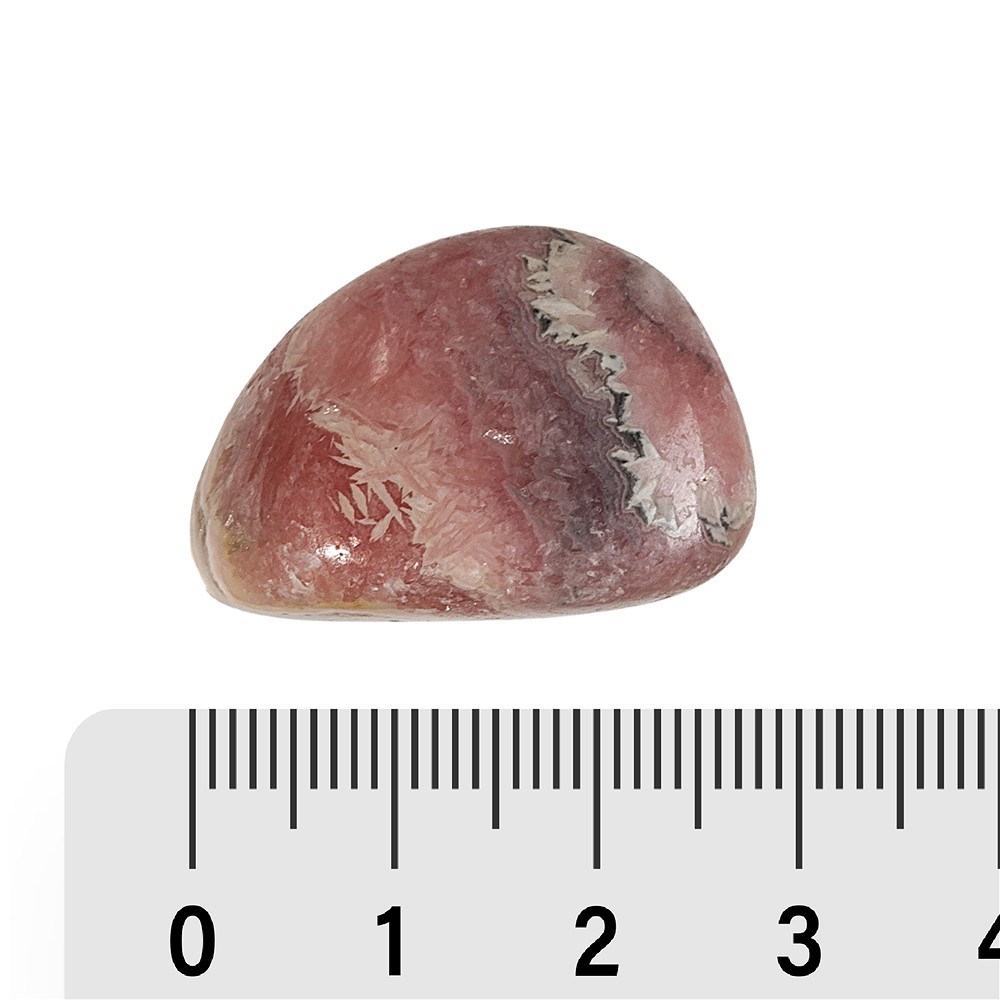 Pierres roulées Rhodochrosite A, 2,3 - 3,2cm (L) | Marco Schreier