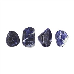 011460502 Tumbled Stones Sodalite, 1,5 - 2,0cm (S)  | wholesaler gems & healing stones