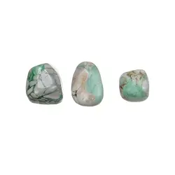 011600401 Tumbled Stones Variscite in matrix, 1.5 - 2.0cm (M) | Marco Schreier