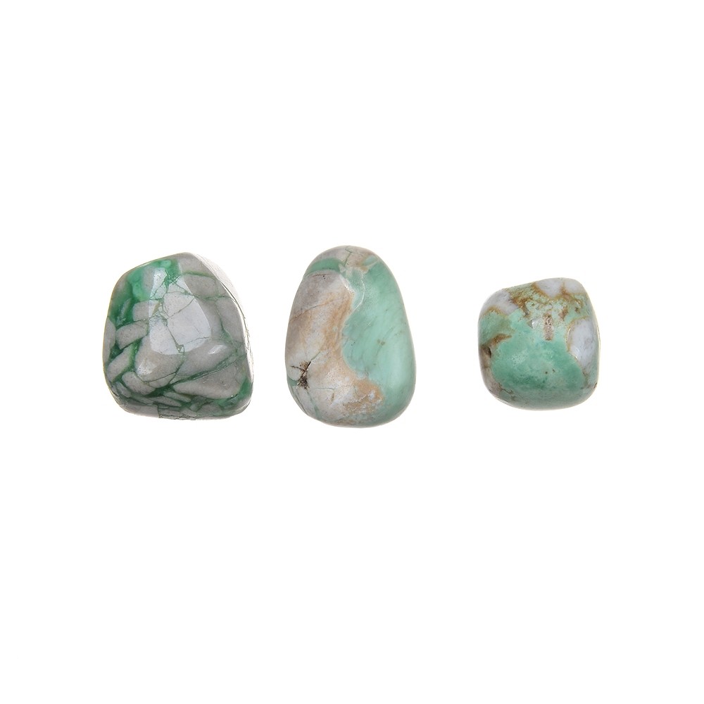 Pietra burattata Variscite in matrice, 1,5 - 2,0 cm (M) | Marco Schreier