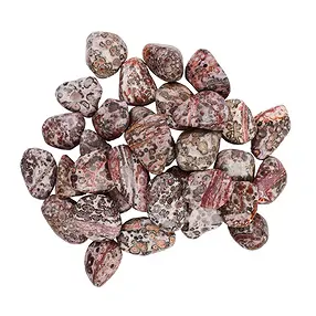 Tumbled stones leopard skin stone, 2.5-3.8cm (L) | Marco Schreier