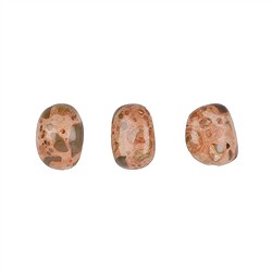 011670402 Piedras rodadas jaspe (jaspe piel de leopardo), 1,8 - 2,8cm (M) | Marco Schreier