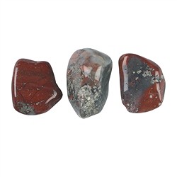 011680203 Tumbled stones jasper (pyrite jasper), 3.0 - 4.0 cm (XL) | Marco Schreier