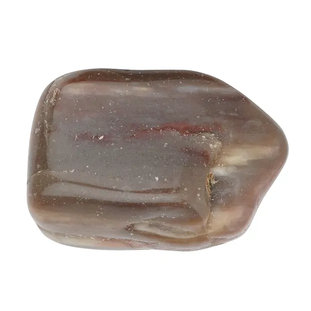 Petrified Wood Tumbled Stones, 3.0 - 5.0cm (XL) | gems, healing stones & jewelry