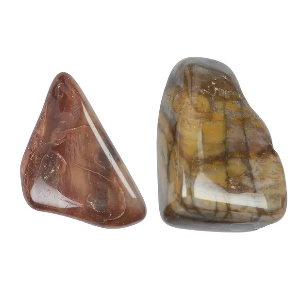 Trommelsteine versteinertes Holz, 2,2 - 3,5cm (L) | Marco Schreier