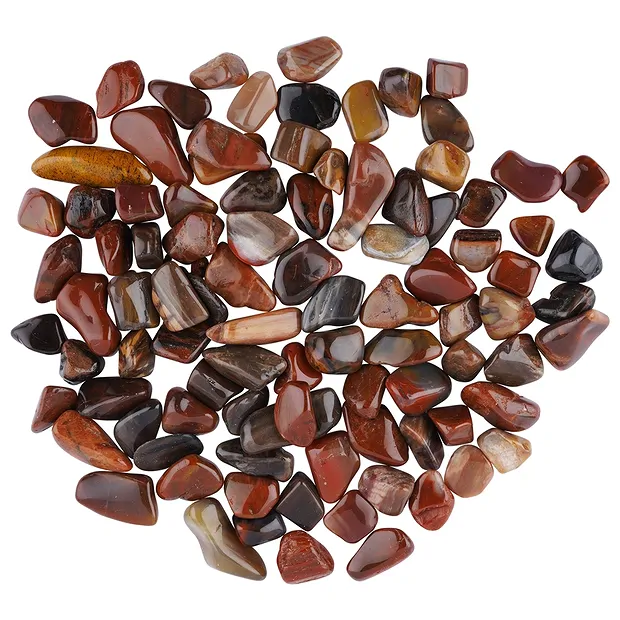 Petrified Wood Tumbled Stones, 2.0 - 3.0cm (M) | gems, healing stones & jewelry