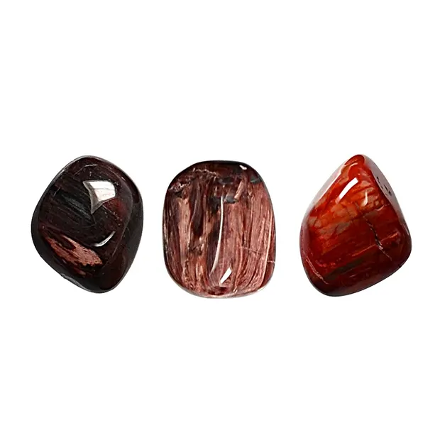 Petrified Wood Tumbled Stones, 2.0 - 3.0cm (M) | gems, healing stones & jewelry