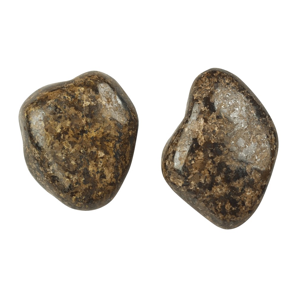 Pietra burattata Bronzite, 2,5 - 4,0 cm (L) | grossista gemme e pietre curative